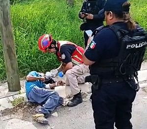 ¡GOLPEAN Y NAVAJEAN A ABUELITO JARDINERO!