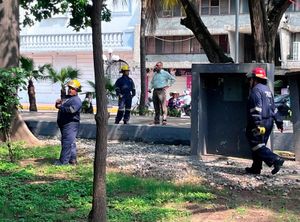 ¡PÁNICO POR ENJAMBRE DE ABEJAS EN EL PARQUE ZAMORA!