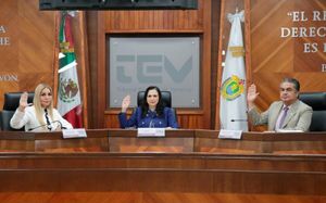 ¡IMPUGNAN TODO! - *80 por elección de ayuntamientos