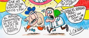 LOS CARTONES