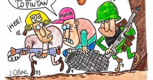 LOS CARTONES