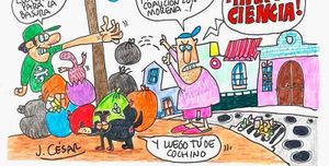 LOS CARTONES
