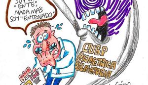 LOS CARTONES