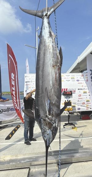 ¡AFINAN DETALLES! - *Para el Torneo internacional del Marlin