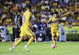 ¡TIGRES SACA LAS GARRAS Y DESTROZA 7-0 A PUEBLA!