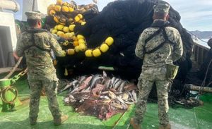 ¡DECOMISAN PESCA ILEGAL! - MÁS DE 4 MIL TONELADAS