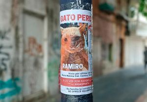 ¡BUSCAN A RAMIRO!