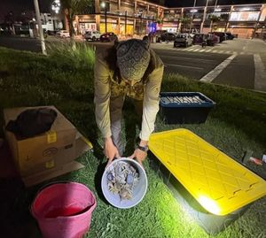 ¡LOS QUIEREN SALVAR!