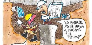 LOS CARTONES