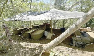 ¡ASEGURAN 21 TONELADAS DE METANFETAMINA EN DURANGO!