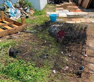 ¡FUEGO QUEMÓ LA VIVIENDA Y MUEBLES DE PAREJA DE JOVENES!