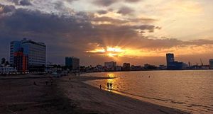 ¡SÓLO DOS PLAYAS CUIDARÁ LA ASIPONA!