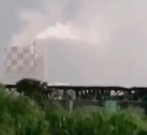 ¡YA SALIÓ EL PEINE!