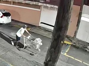 ¡GRABAN A “RATOTA” MERODEANDO CASAS!