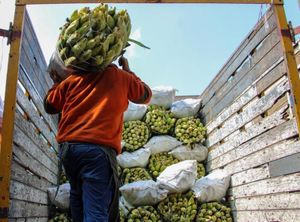 ¡75 DE CADA 100 PESOS! - *Se irán a deuda del país