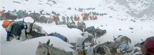 ¡RESCATAN A CIENTOS DE EXCURSIONISTAS DEL MONTE EVEREST!
