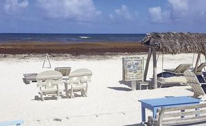 ¡COMERCIANTES PIDEN PERDÓN A TURISTAS POR MALOS TRATOS Y PRECIOS EXORBITANTES!