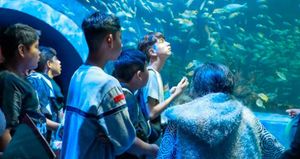 ¡ÚLTIMATUM! - *A empresa que remodeló el Aquarium... o lo arreglan o o arreglan.