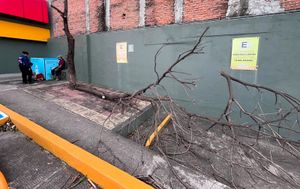 ¡OBRERO LESIONADO DE UN RAMAZO EN TIENDA OXXO!