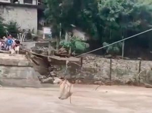 ¡SOBREVIVEN CON POLEAS! - *Para salvar mascotas e intercambiar alimentos en Zontecomatlán