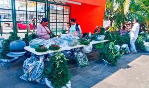 ¡TRAEN ARBOLITOS DE NAVIDAD Y CORONAS DE ADVIENTO!