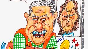 LOS CARTONES