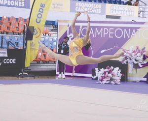 ¡FESTIVAL NACIONAL DE GIMNASIA!