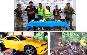 ¡HASTA ANIMALES EXÓTICOS TENÍAN EN LA RESIDENCIA! - DOS DETENIDOS EN UN CATEO DE LA FGE EN HUATUSCO