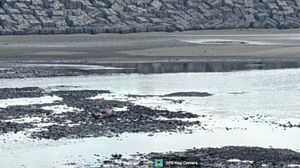 ¡ENCUENTRAN MUERTO A PESCADOR EN PLAYA NORTE!