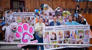 ¡SON SERES SINTIENTES!