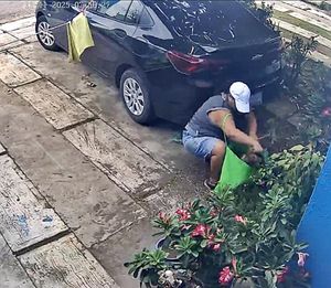 ¡CAPTAN EN VIDEO A LA MUJER ROBA MACETAS!