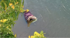 ¡ENCUENTRAN A TRABAJADOR DE LIMPIA PÚBLICA FLOTANDO EN EL RÍO TUXPAN!