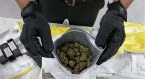 ¡ASEGURAN 400 GRAMOS DE MOTA EN INSPECCIÓN EN PAQUETE EXPRESS!