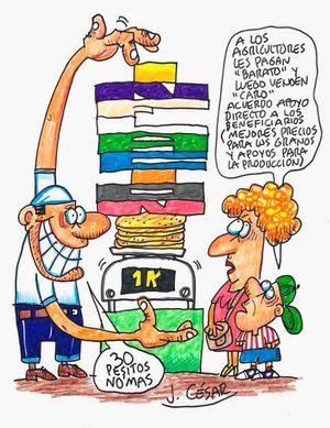 LOS CARTONES