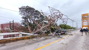 ¡SE DESPLOMÓ TORRE DE CFE EN COATZACOALCOS!