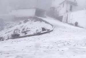 ¡YA NEVÓ EN EL COFRE!