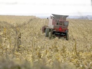 ¡DARÍA EU 12 MMDD A AGRICULTORES AFECTADOS POR ARANCELES!