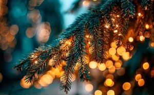 ¡LLAMAN A EVITAR COMPRAS IMPULSIVAS EN DICIEMBRE!