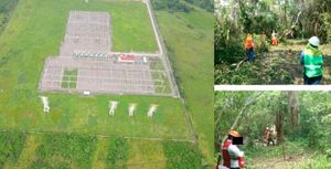 ¡PAGA CONSTELLATION BRANDS 1.1 MDP POR DERRIBO DE ÁRBOLES!