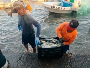 ¡SACAN 2 TONELADAS DE COJINUDA!