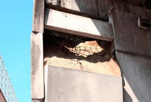 ¡‘CIERRAN’ EL PUENTE! - *No dejarán subir vehículos pesados