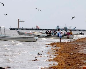 ¡VEDA DEL PULPO EN EL PARQUE ARRECIFAL!