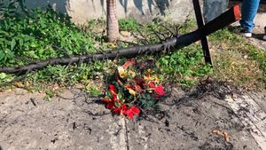 ¡SE QUEMÓ ARBOLITO NAVIDEÑO Y DEJA MUJER LESIONADA EN TARIMOYA!