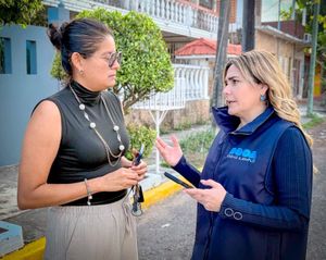 ¡QUITAN 52 AUTOS MACETA!