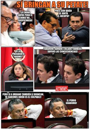 NOTI-MEME | - SÍ BRINCAN A SU PETATE!