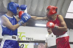 ¡BUSCAN CREAR COMISIÓN MUNICIPAL DE BOX Y LUCHA LIBRE!