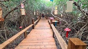 ¡CLAUSURAN BOSQUES DE LAS HADAS! - LES CAYÓ PROFEPA