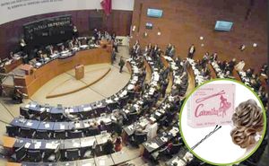 ¡DE MAQUILLAJE A MEDICINAS, EL PROVEEDOR QUE HA RECIBIDO 5.1 MDP DEL CONGRESO!