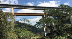 ¡PEATÓN CAYÓ A LA BARRANCA DEL METLAC Y VIVE DE MILAGRO!
