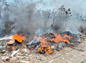 ¡INCENDIO ARRASA TERRENO BALDÍO EN LAS AMAPOLAS 2!